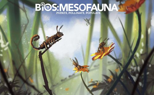 Bios: Mesofauna