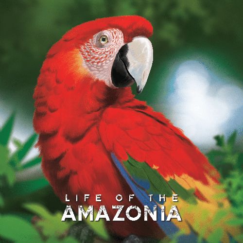 Обложка игры Life of the Amazonia