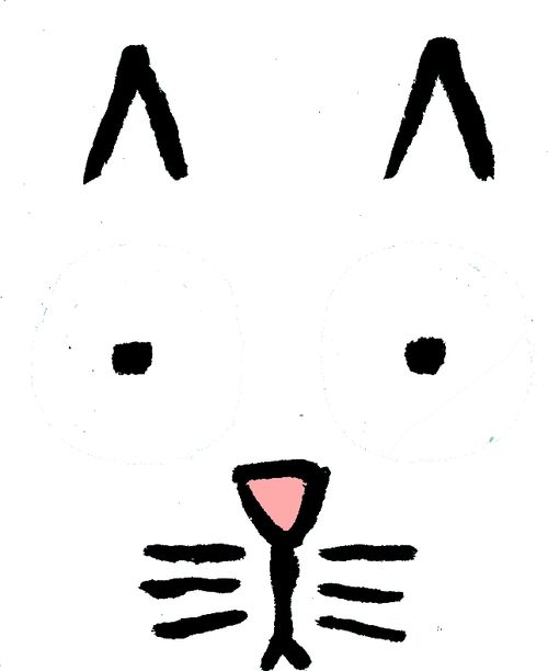 Kooky Cats