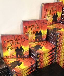 Forest Fire